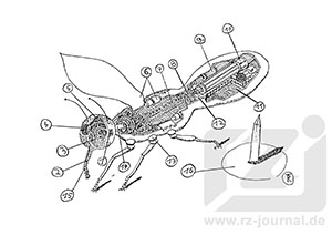 LKS Risszeichnung zu Heft 217