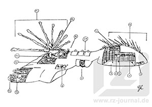 Datenblatt zu Heft 339