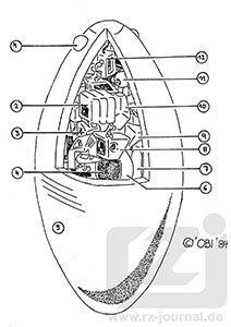 LKS Risszeichnung zu Heft 387