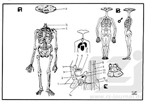 Risszeichnung aus Band 682
