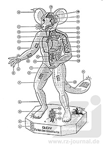 Risszeichnung aus Band 1227